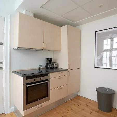 Spacious 3B W Double Beds Copenhagen City Centre Exterior photo